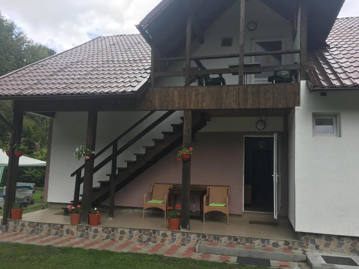 Гостевой дом Casa Popa’s Кырцишоара-7